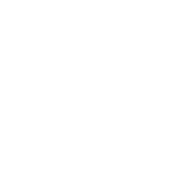 Barcino Designs selection 49